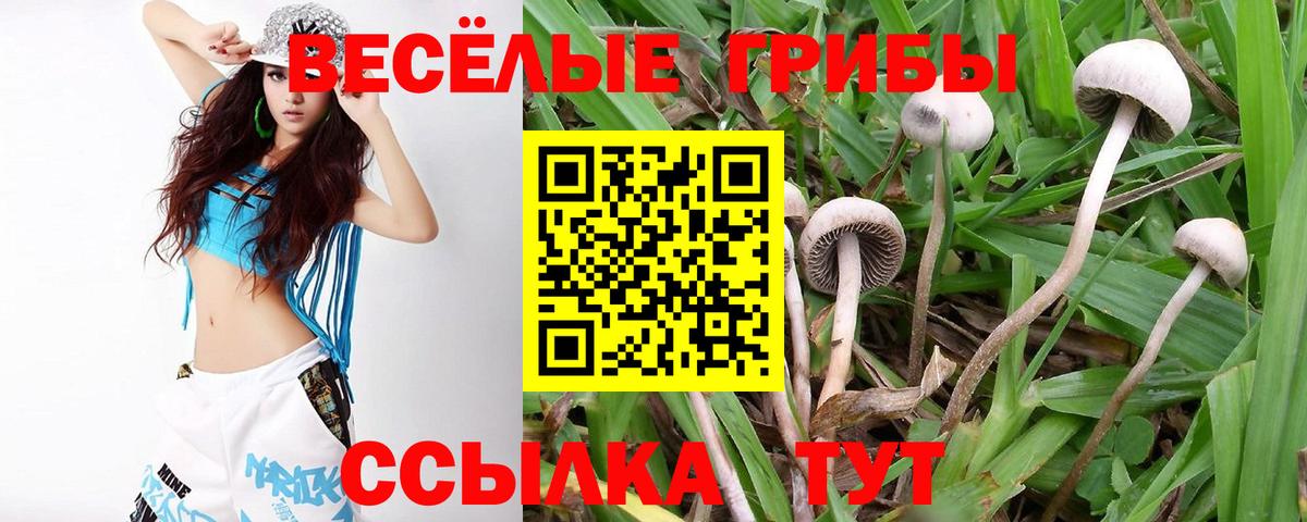 Галлюциногенные грибы прущие грибы  Галлюциногенные грибы Psilocybe  наркота  Вход с VPN  Верхняя Пышма 
